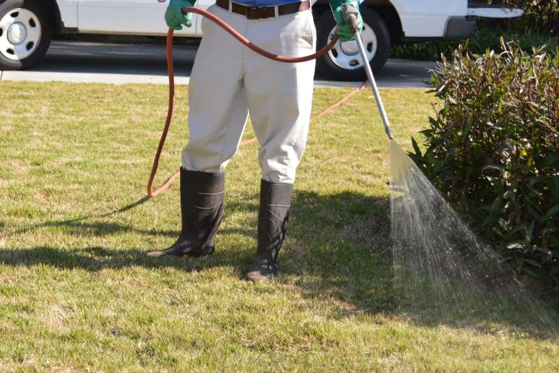Dead Animal Removal and Decontamination